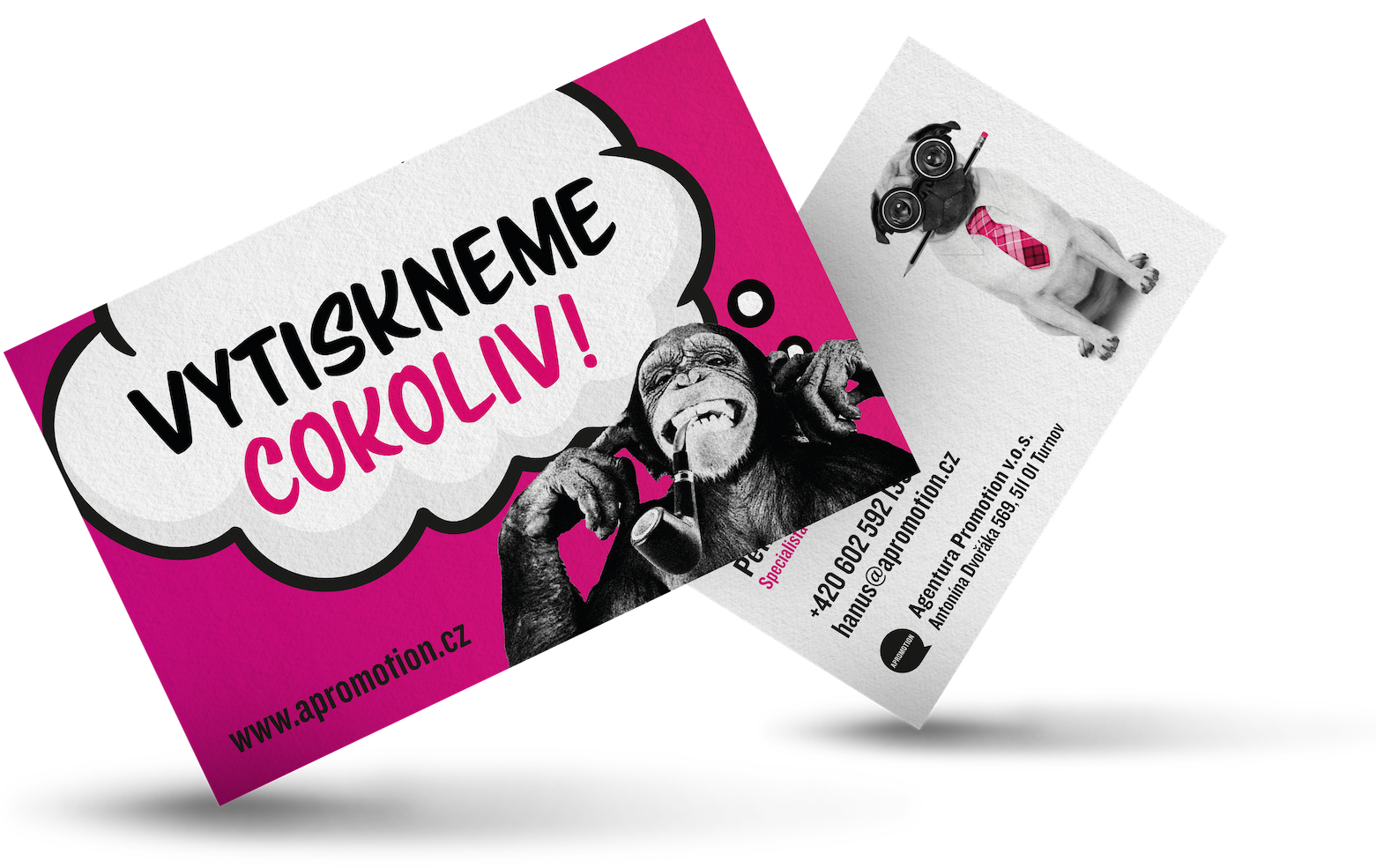 tisk vizitek